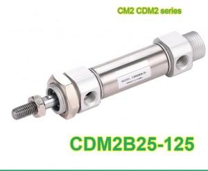 CDM2B25-125