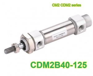 CDM2B40-125