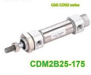 CDM2B25-175